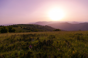 landscape nature summer