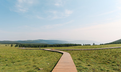 Landscape of Malun alpine pasture with wooden paths in Xinzhou, Shanxi, China
