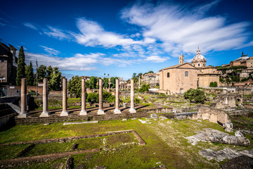 Fototapeta na wymiar Forum Romanum, Roma