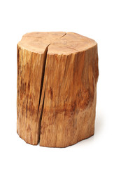 log isolated on a white background