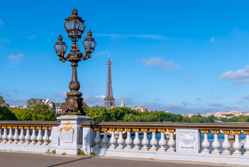 Fototapeta na wymiar Lantern on the Alexandre III Paris Bridge