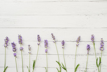 Composition of lavender on white wooden background. Border of fresh summer flowers. Free space