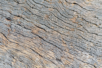 A fine texture of very old wood.
