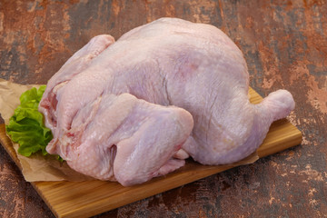 Raw chicken ready for cooking