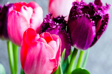bouquet of pink and purple tulips in a vase