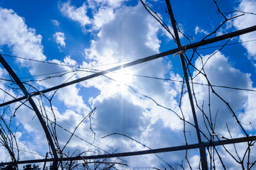 Clouds and blue sky background with copy space
