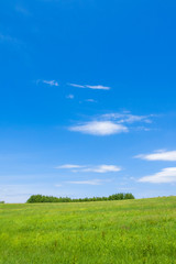 Obraz premium 草原と大地と青空 シンプル背景 日本の北海道