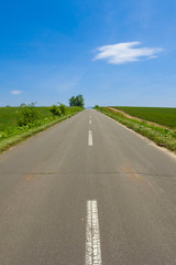 日本　北海道　絶景の道　シンプル背景