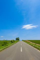 日本　北海道　絶景の道　シンプル背景