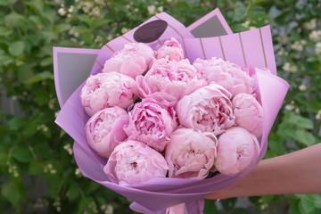 A bouquet of pink peonies in lilac and pink packaging on a background of green grass.