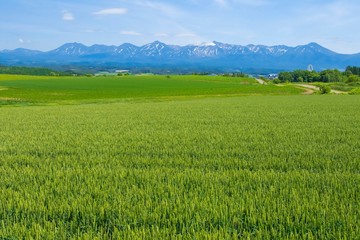 日本の田舎　絶景の大地と青空