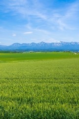 日本の田舎　絶景の大地と青空