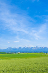 日本の田舎　絶景の大地と青空