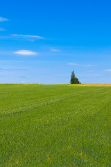 日本の絶景　草原と青空