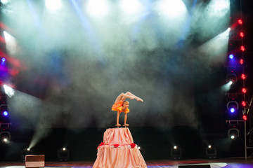 performances beautiful girls gymnasts in the circus