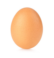 egg on white background.