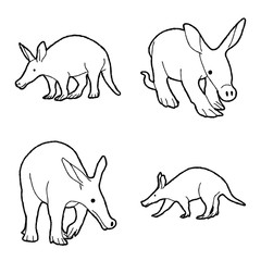 Aardvark Vector Illustration Hand Drawn Animal Cartoon Art
