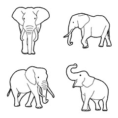 Elephant Vector Illustration Hand Drawn Animal Cartoon Art