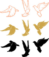 White Pigeon Variation Set