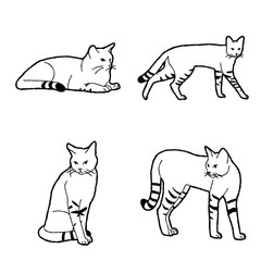 African Wild Cat Vector Illustration Hand Drawn Animal Cartoon Art