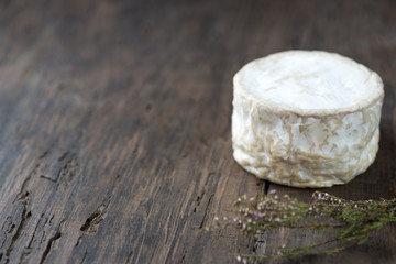 Soft french cheese of camembert on wooden table with copy space