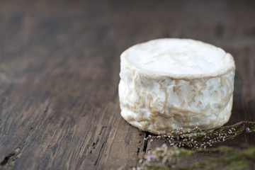 Soft french cheese of camembert on wooden table with copy space