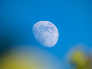 day moon in blue sky
