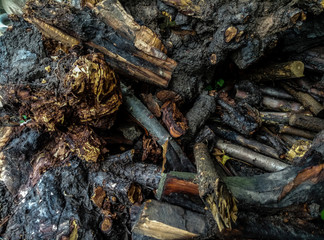 Natural background. After the rain. Branches. Wet firewood