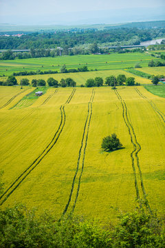 Traces on the wheat field © somra