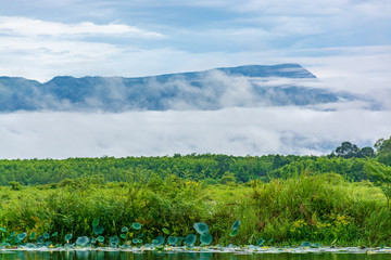 Fototapeta premium Scenic View Of Lake Against Sky