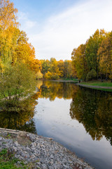 Autumn Park, trees reflected in the pond,  withered leaves