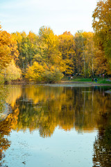 Fototapeta na wymiar Autumn Park, trees reflected in the pond, withered leaves