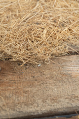 Background and texture of old dry grass hay on wooden background