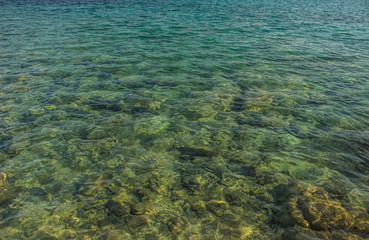 green shallow water near shore line background foreshortening from above