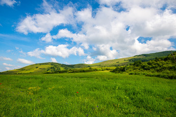 Obraz premium Springtime landscape