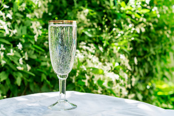 A glass of clean water with bubbles, looks like champagne, stands on a table against the background of blurred flowers. Copy space for your text. The concept of water and a healthy lifestyle
