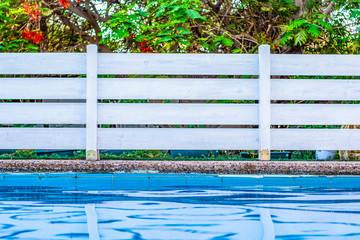 gardening and landscaping simple design concept photography of water pool foreground and white...