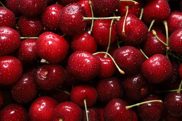 Close-up of a bunch of ripe cherries with peduncles. Large collection of fresh red cherries. Ripe cherries background.