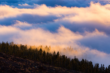Teide National Park, Tenerife island, Canary islands, Spain, Europe