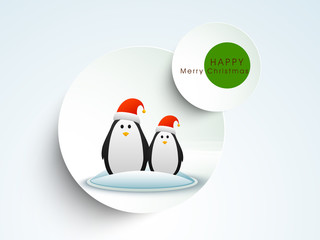 Tag, label and sticker for Merry Christmas.