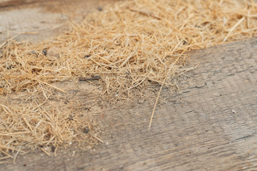 Background and texture of old dry grass hay on wooden background