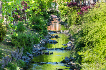 colorful park river background
