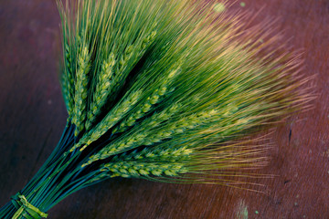 green Wheat spikes on dark wooden board