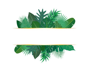 Vector illustration of various exotic green tropical leaves with banner on white background