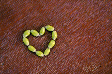 green Wheat on dark wooden board