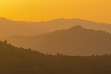 golden sunset in summer