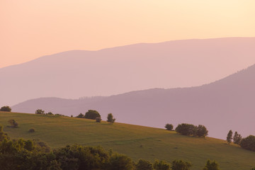 Naklejka premium landscape nature summer