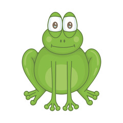 Frog. isolated on white background