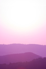 Fototapeta premium ultra violet purple summer landscape
