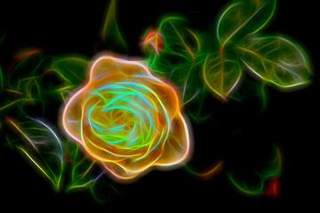 Abstrakt illustrierte Rose - leuchtend auf schwarz